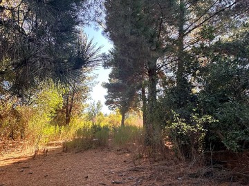 Venta / Terreno / Hualqui