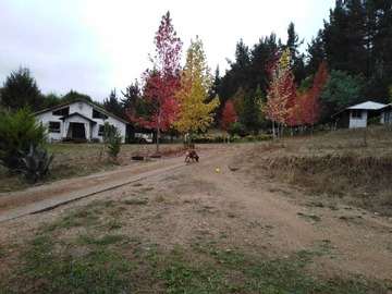 Imagen 7