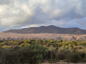 Venta / Terreno / Huasco