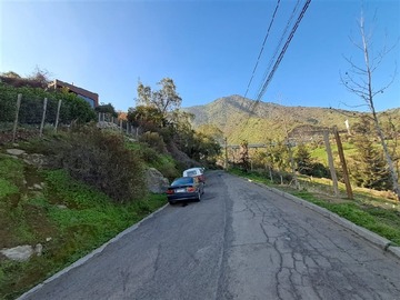 Imagen 7