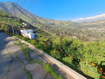 Imagen 5