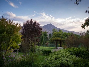 Imagen 19