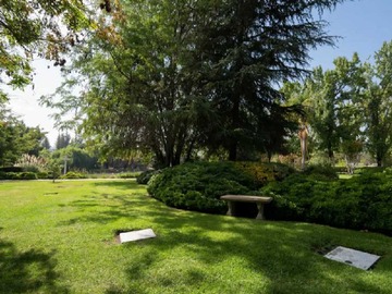 Imagen 8