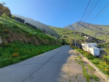 Imagen 15
