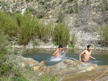 Venta / Terreno / Illapel