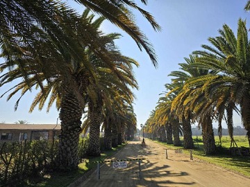 Venta / Terreno / Isla de Maipo