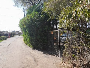 Imagen 5