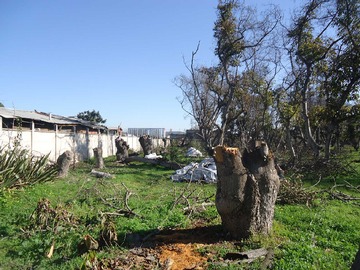 Imagen 9