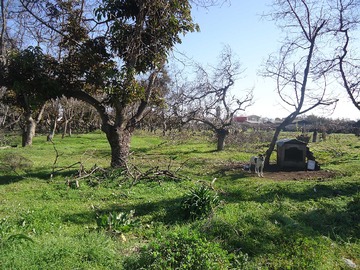 Venta / Terreno / Isla de Maipo