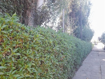 Imagen 5