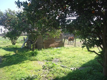 Imagen 7