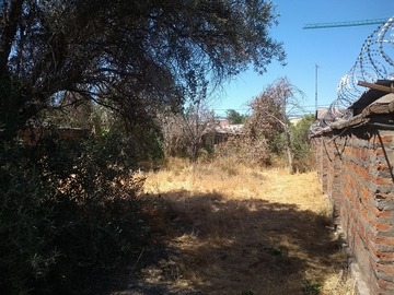 Imagen 8