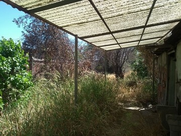 Imagen 5