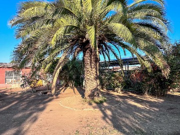 Venta / Terreno / La Cisterna