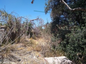 Imagen 7