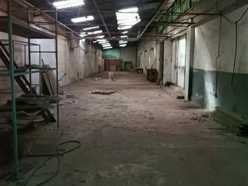 Imagen 5