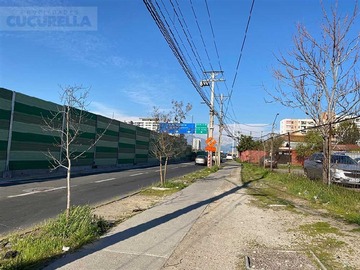 Imagen 13