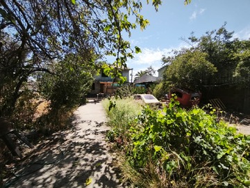 Imagen 6