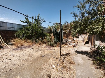 Imagen 10