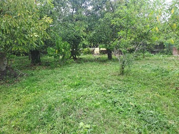 Venta / Terreno / La Cruz