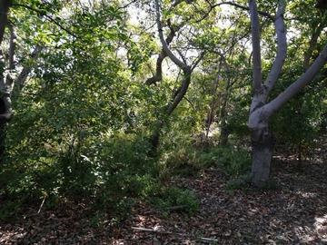 Venta / Terreno / La Cruz