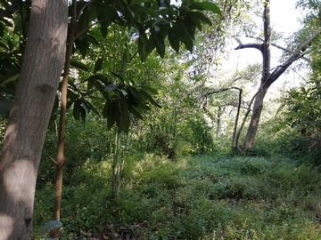 Venta / Terreno / La Cruz