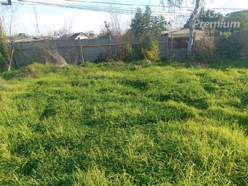 Venta / Terreno / La Cruz