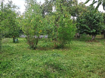 Venta / Terreno / La Cruz