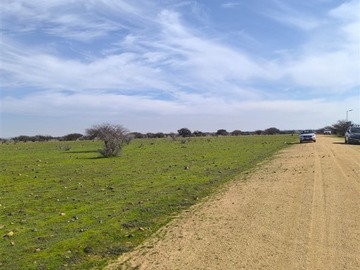 Imagen 5