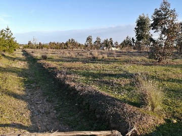 Venta / Terreno / La Estrella
