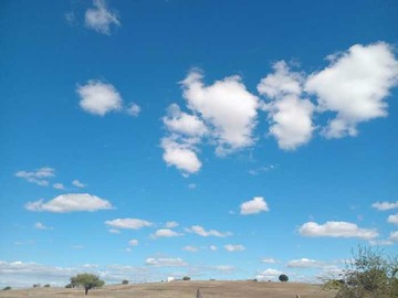 Imagen 18
