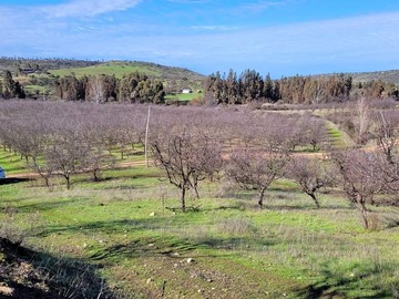 Venta / Terreno / La Estrella