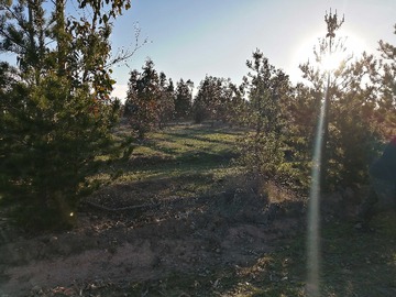 Venta / Terreno / La Estrella