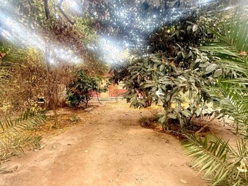 Imagen 8