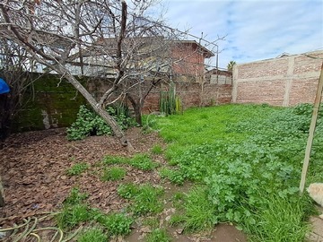 Imagen 11