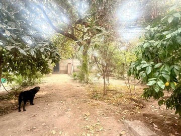 Imagen 11