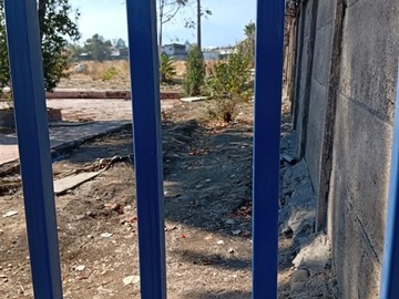 Imagen 7