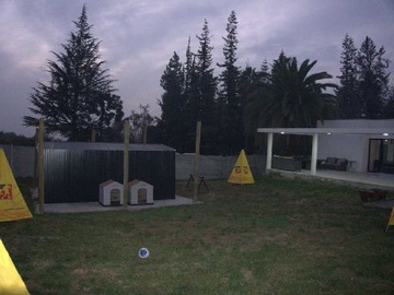 Imagen 7