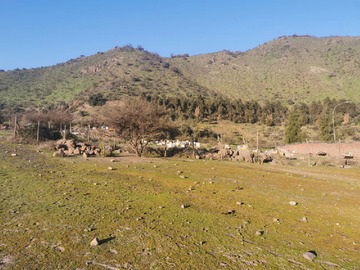 Venta / Terreno / La Florida