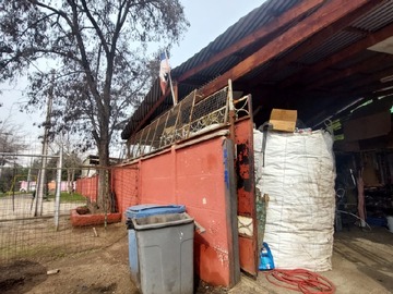 Imagen 5