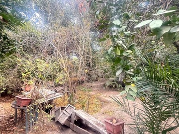 Imagen 13
