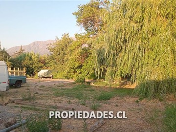 Imagen 5