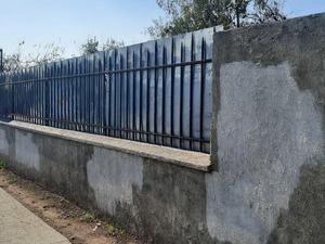Imagen 2