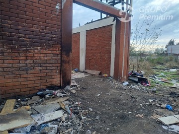 Imagen 5