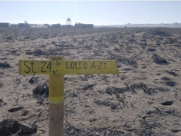 Imagen 8