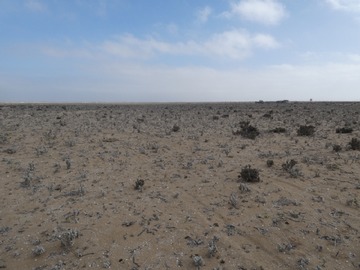 Venta / Terreno / La Higuera