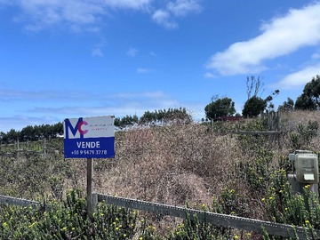 Venta / Terreno / La Ligua