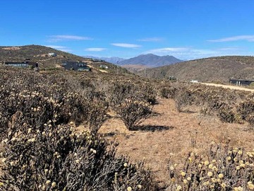 Venta / Terreno / La Ligua