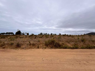 Venta / Terreno / La Ligua