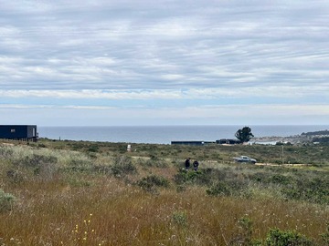 Venta / Terreno / La Ligua